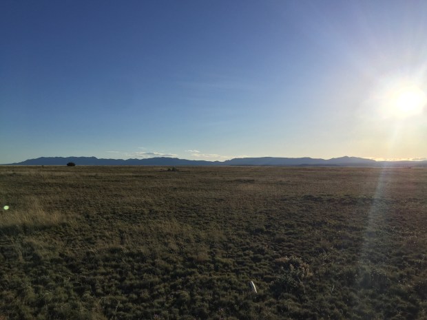 Our future homestead